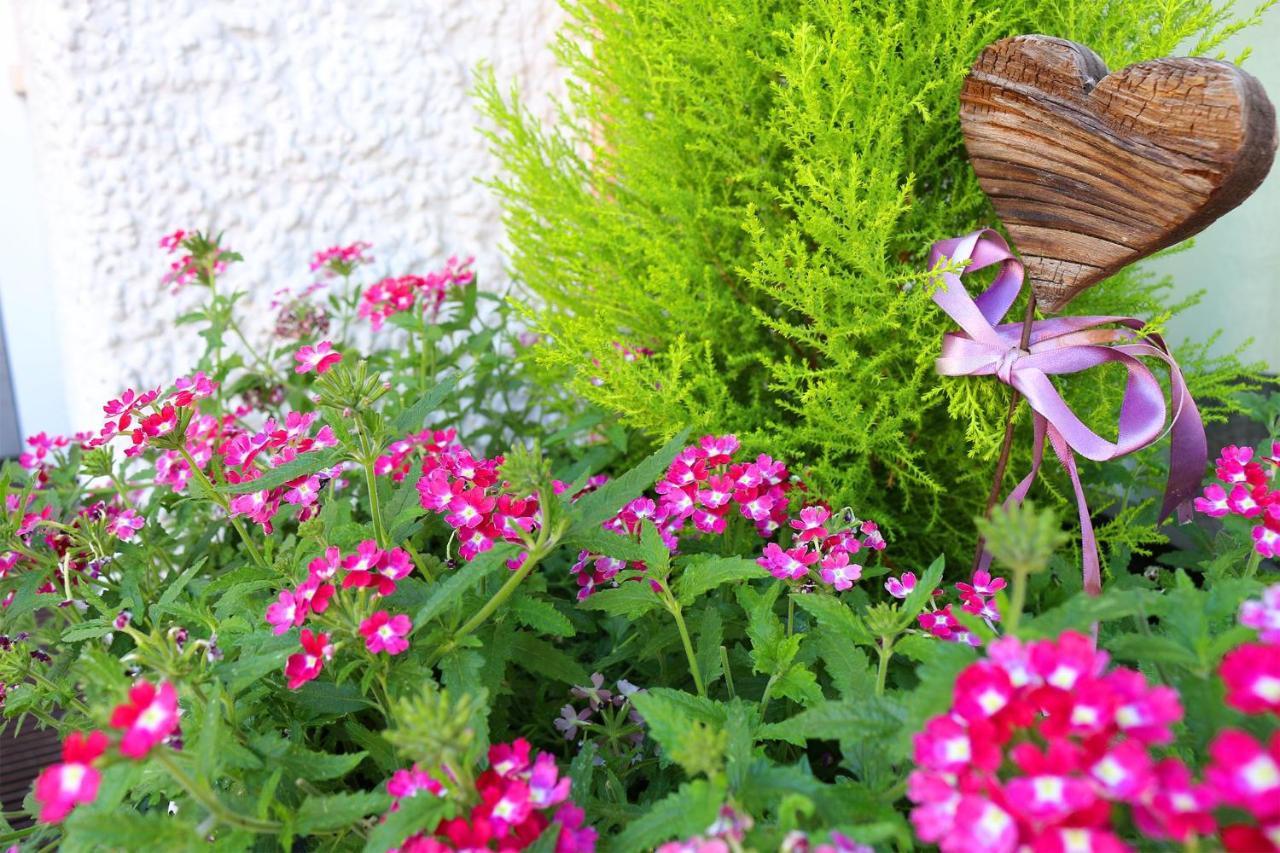 Schenna Garni Eden Bed & Breakfast Екстер'єр фото